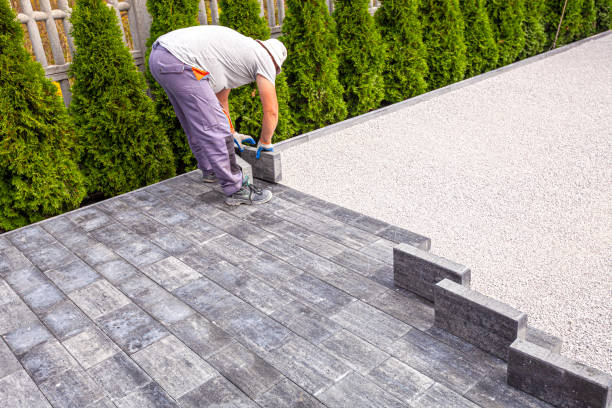 Best Local Driveway Pavers  in Blooming Prairie, MN