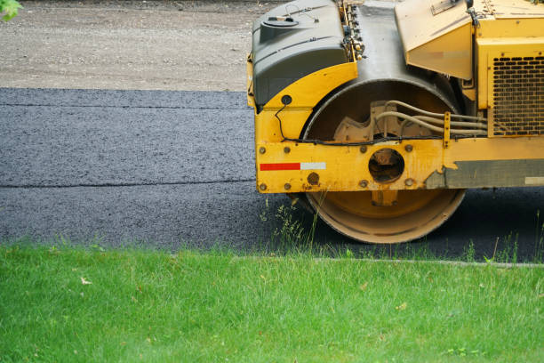 Best Custom Driveway Pavers  in Blooming Prairie, MN