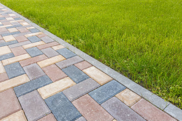 Best Driveway Pavers Near Me  in Blooming Prairie, MN