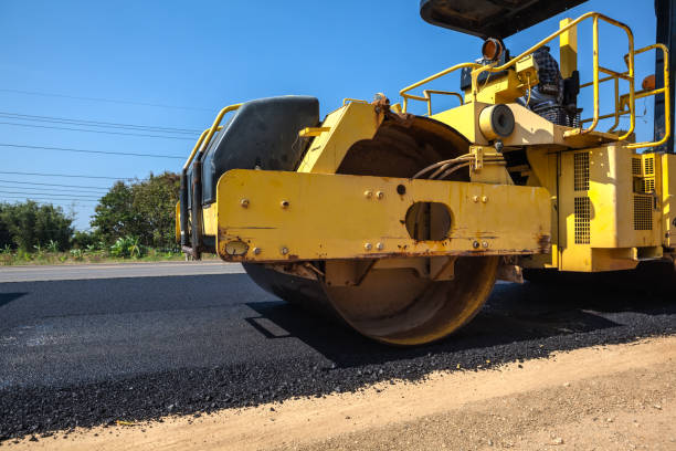 Best Decorative Driveway Pavers  in Blooming Prairie, MN